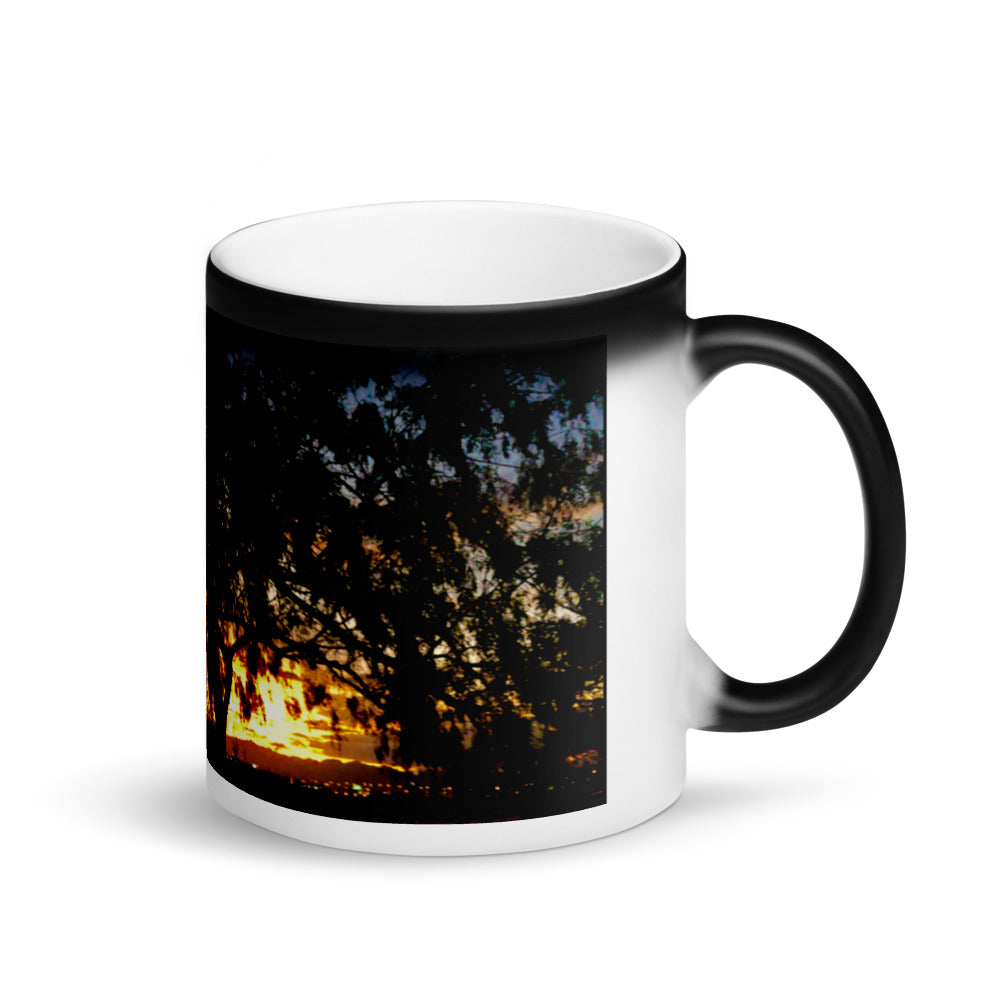 Sunset Tree 11oz Matte Coffee Mug